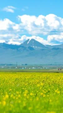 Spring Meadow and Mountain Backdrop Erzurum, Turkey Foto stock