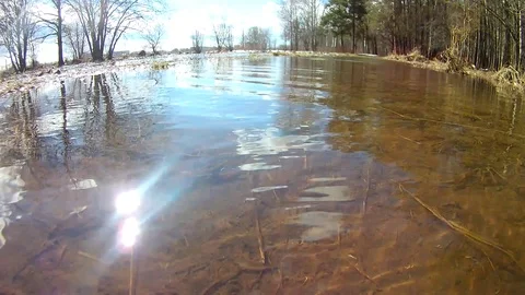Spring Meadow Flood Looped Stock Footage 102912811