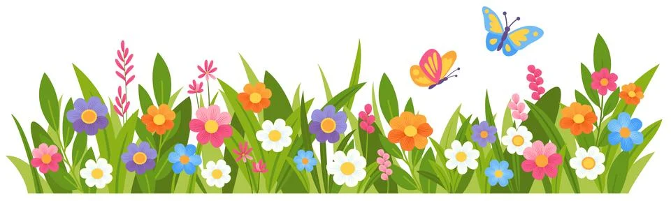 Spring meadow flower and grass. Stockillustratie