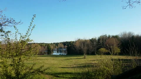 Spring Meadow Video stock 132662199