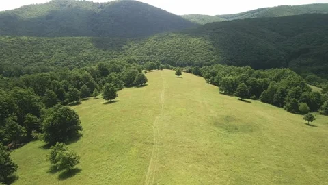 Spring meadow Video stock 264095707