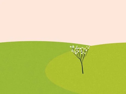 Spring meadow landscape with cherry tree in blossom Stock Illustration