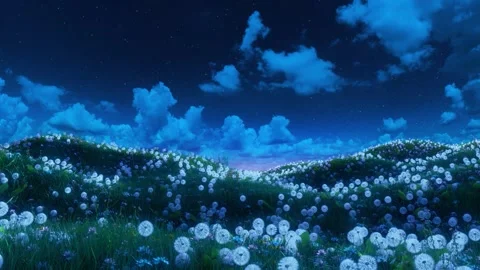 Spring meadow landscape. Night Видео 339542474