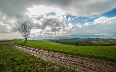 Spring meadow landscape Stock Photos