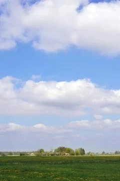 Spring meadow Stock Photos