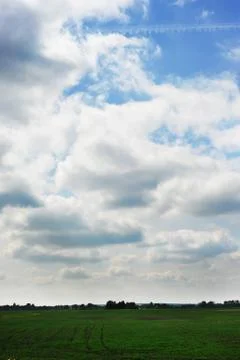 Spring meadow Stock Photos