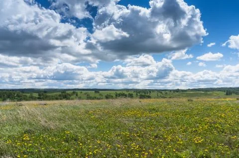 Spring meadow Stockfoto's