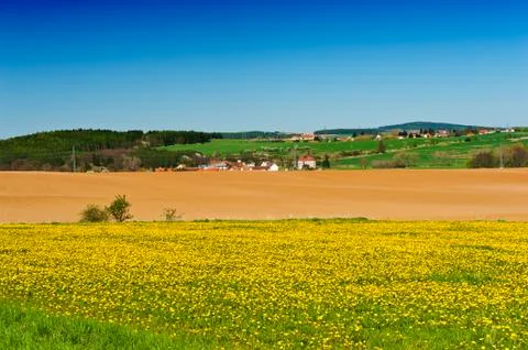Spring meadow Foto stock