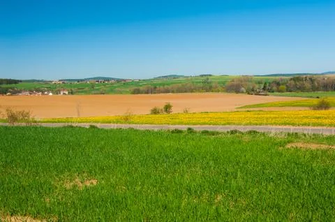 Spring meadow Foto stock
