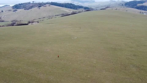 Spring meadow in Slovakia Video stock 238540642