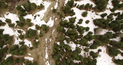 Spring meadow with trees and snow covered grass. Top down view of alpine scene Stock Footage 132120918