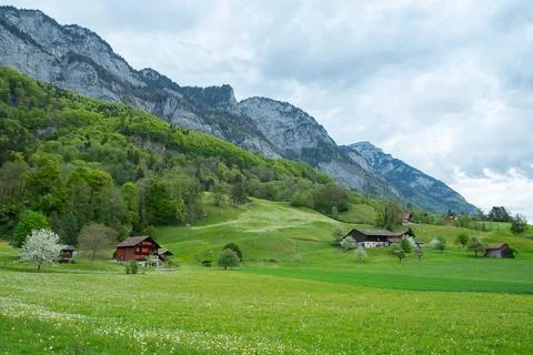 Spring meadows and fields landscape with cottage houses in Switzerland Stock Photos