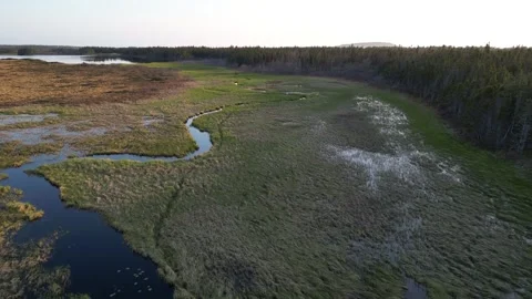 Spring Meadows and Water Stock Footage 253422415