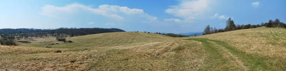 Spring meadows Stock Photos