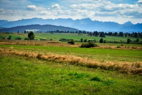 Spring meadows under high mountains Stock Photos