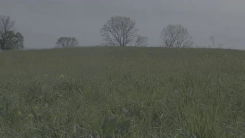 Spring Medow 库存影片 165896112