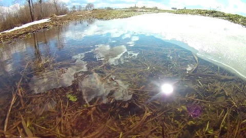Spring Melted Water Reflection Looped Stock Footage 102912831