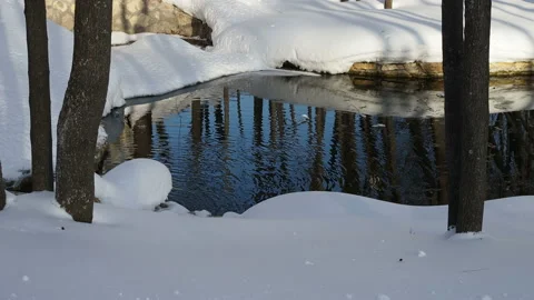 Spring melting of ice and awakening of nature. Clear water in the wilderness Stock Footage 123713709