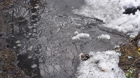 Spring melting of ice and snow forming puddles on a cloudy warm day Stock Footage 111145053