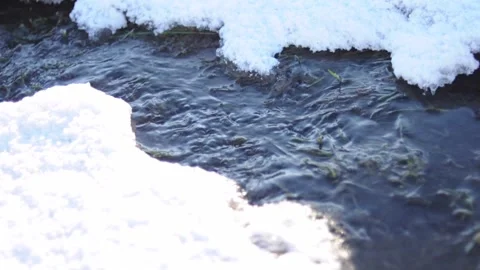 Spring melting snow forms a stream of clean cold water Stock Footage 169328169