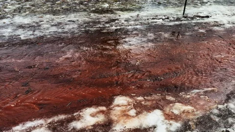 Spring Meltwater Running Through a Red Park Path at Winter’s End Stock Footage 332416480