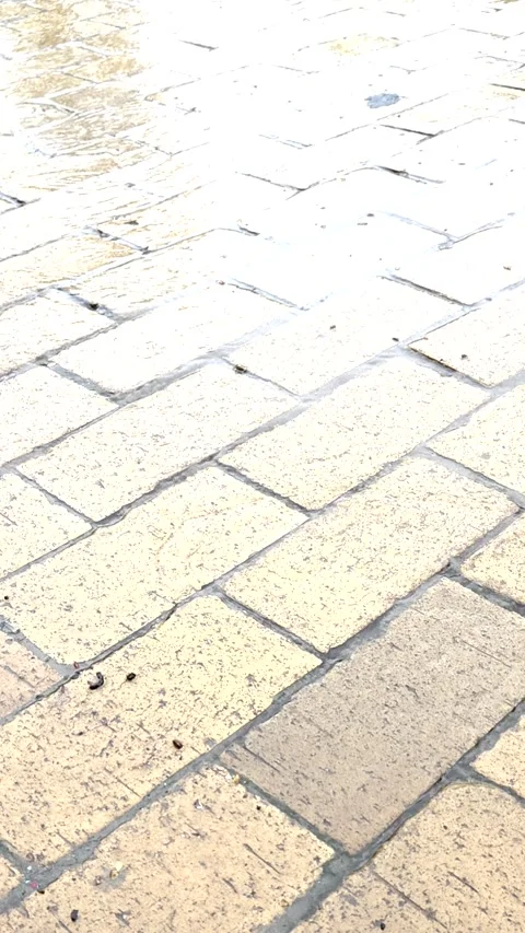 Spring Meltwater Stream Flowing Wet Cobblestone Pavement Urban Nature Seasonal Stockbeeldmateriaal 333594348