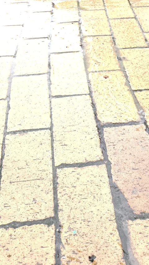 Spring Meltwater Stream Flowing Wet Cobblestone Pavement Urban Nature Seasonal Stockbeeldmateriaal 333594361
