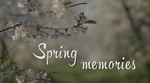Spring Memories Nature Slideshow Stock After Effects