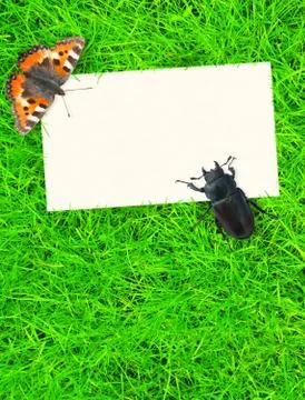 Spring message Stock Illustration