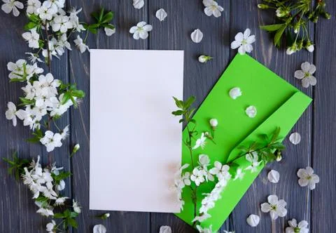 Spring mock up frame for text. Frame for text with envelope and flowers for s Stock Photos