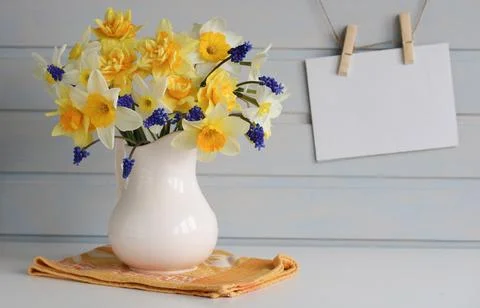 Spring mockup, an empty paper postcard on a white board wall and daffodils. card Stock Photos