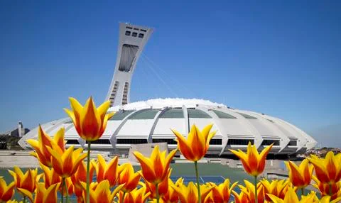 Spring in Montreal Stock Photos