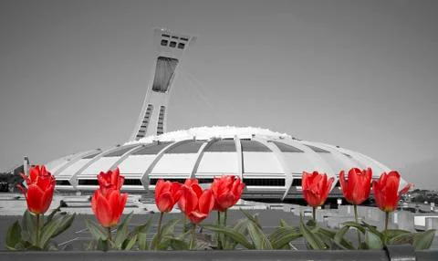 Spring in Montreal Foto stock