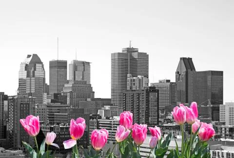 Spring in Montreal Foto stock