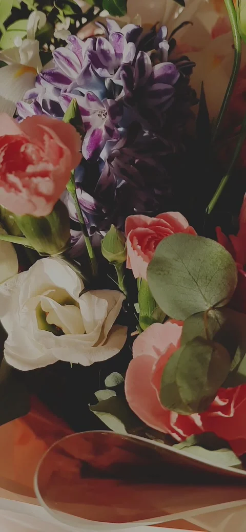 Spring mood Stock Footage 230093088