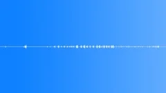 Spring morning, the birds singing - ambient, background loop 01Sound Effect