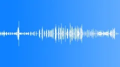 Spring morning, the birds singing - ambient, denoised loop 01Sound Effect