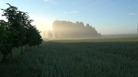 Spring morning fog mist and sunrise in farmland Stock Footage