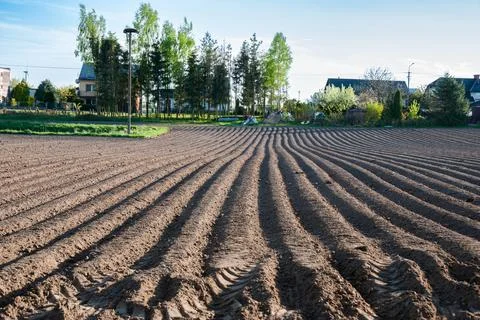 Spring morning on a plowed field with patterns in soil rows, trees and houses Stock Photos