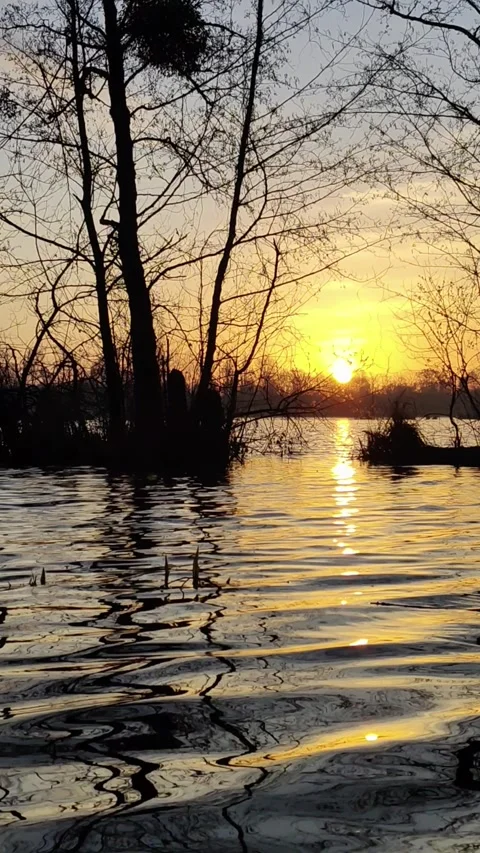 Spring morning on a pond Video stock 305777091