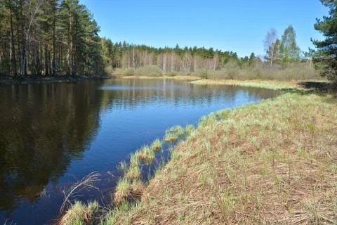Spring. Morning on the river. Stock Photos