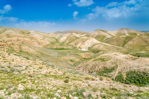 Spring in the mountain desert Stock Photos