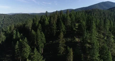 Spring mountain drone 動画素材 187183934