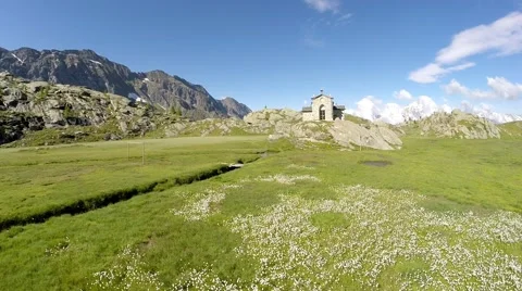 Spring in mountain - Flowery meadow Video stock 66474850