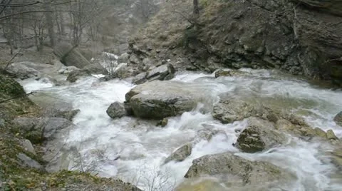 Spring mountain forest stream Uchan-Su Video stock 10851414