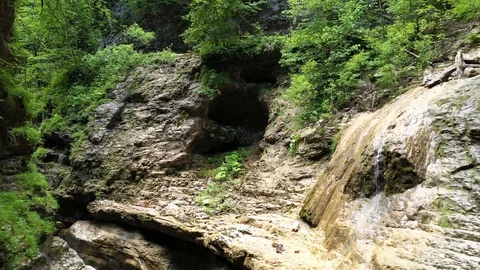 Spring in a mountain gorge, in the middle of a beautiful green forest Stock-Footage 116239011