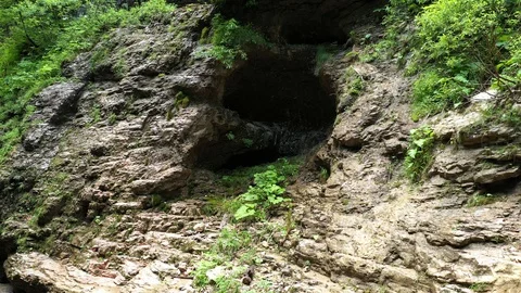 Spring in a mountain gorge, in the middle of a beautiful green forest Stock Footage 116275717