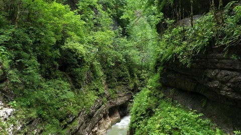 Spring in a mountain gorge, in the middle of a beautiful green forest Stock-Footage 116276150