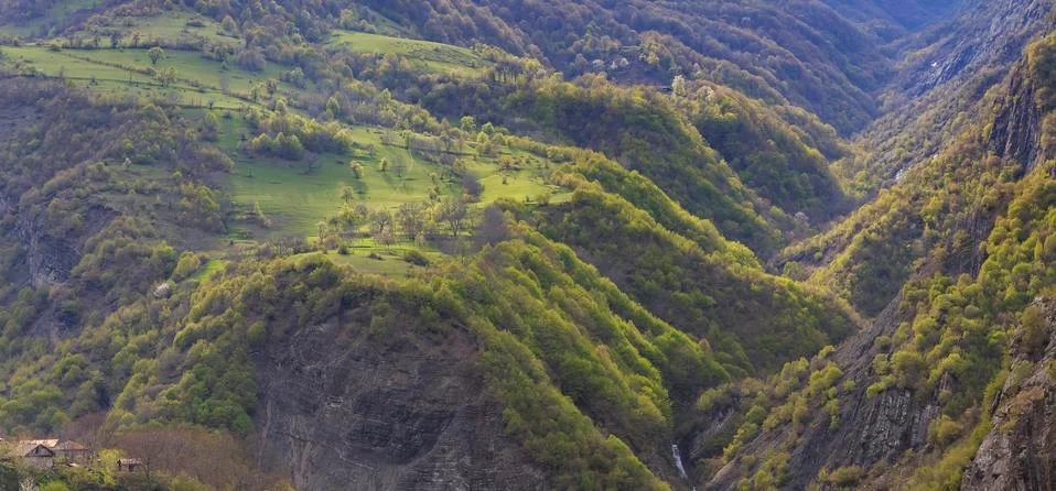 Spring in a mountain gorge Stock Photos