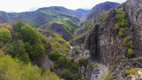 Spring in a mountain gorge Stock Photos